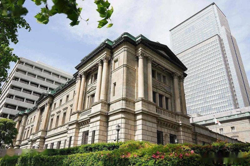 全国托育服务质量提高举措开展