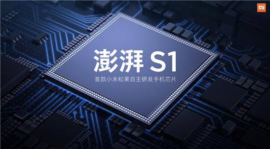 奋进新征程建功新时代•“小个专”党建引领高质量推动